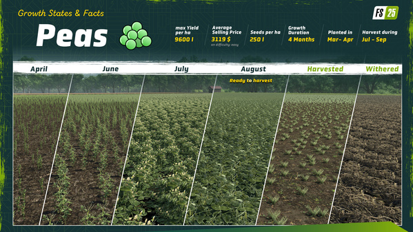 FS25_Peas_GrowthStates_en_66e2d4fa41e3d.jpg