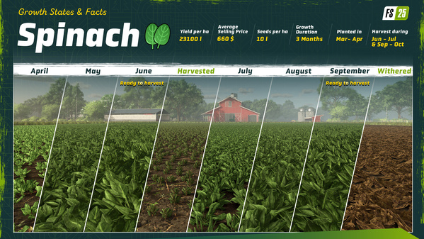 FS25_Spinach_GrowthStates_EN_66e2d51464235.jpg