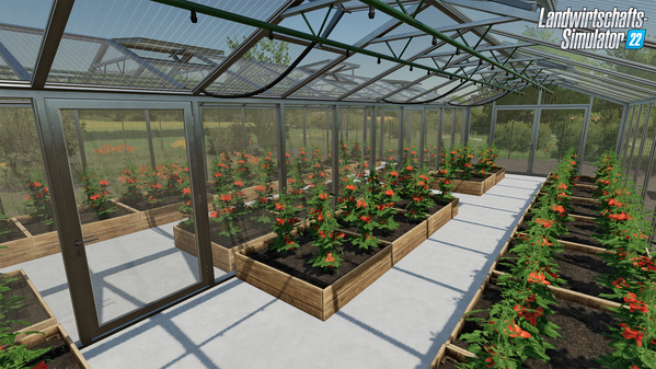 FS22-Greenhouses-InsideTomatoes_de.jpg