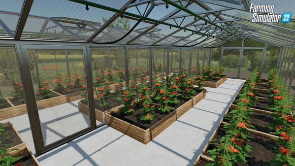 FS22-Greenhouses-InsideTomatoes_en.jpg