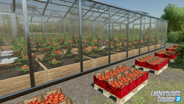FS22-Greenhouses-OutsideTomatoes_de.jpg