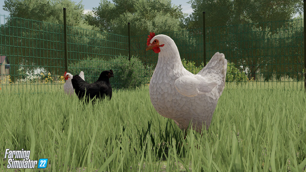 FS22-animal-chicken_1_en.jpg