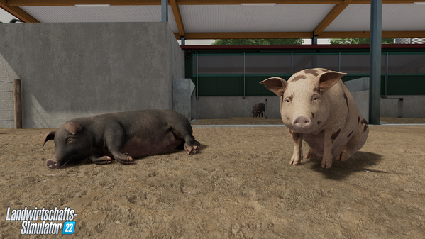 FS22-animal-pigs_1_de.jpg