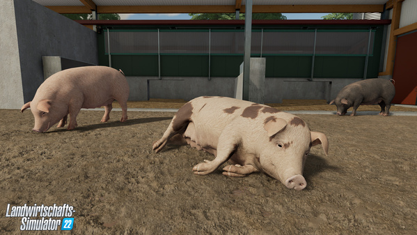 FS22-animal-pigs_2_de.jpg