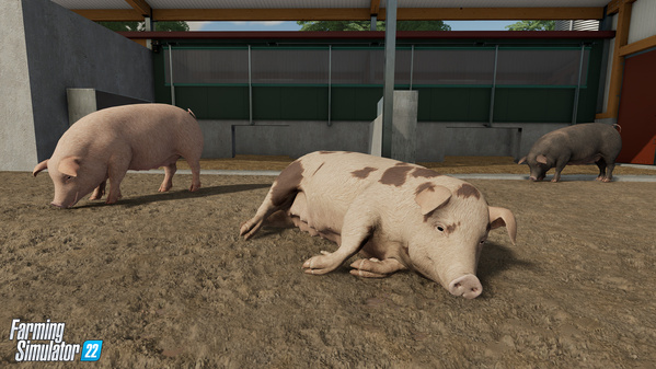 FS22-animal-pigs_2_en.jpg