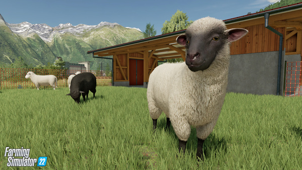 FS22-animal-sheep_1_en.jpg