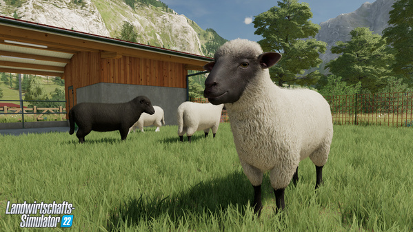 FS22-animal-sheep_2_de.jpg