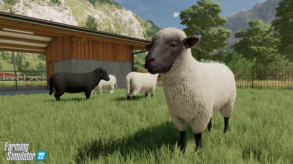 FS22-animal-sheep_2_en.jpg
