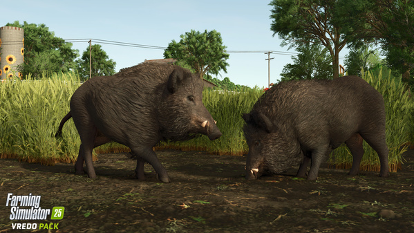 FS25-Vredo-boar-2_en_699d64976d2a7.jpg