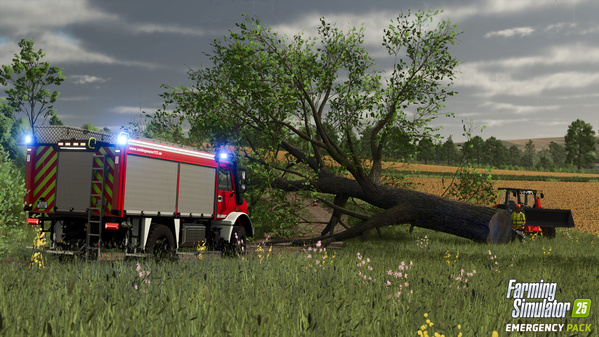 FS25-emergency-3_en_6a3d0c32267c4.jpg
