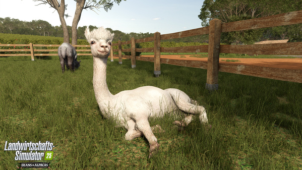 FS25BA_alpaca-1_de_6a8fe892d6fd0.jpg