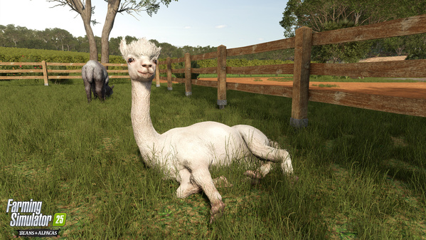 FS25BA_alpaca-1_en_6a8fe8bb7424c.jpg