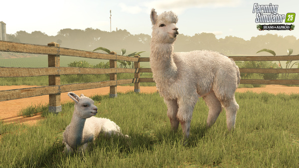 FS25BA_alpacas_en_6a4e3d1d0c554.jpg