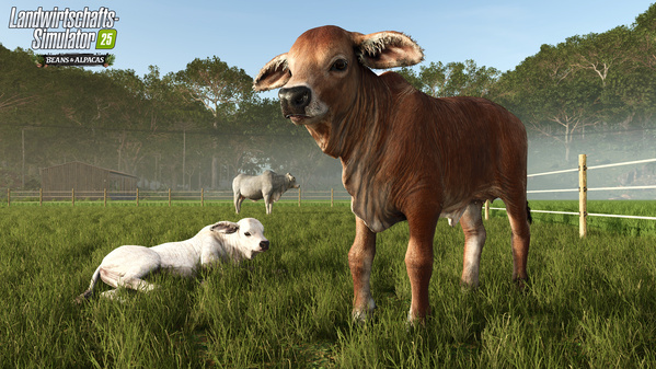 FS25BA_brahmanCows_de_6a4e42bbe3d03.jpg