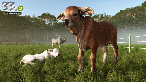 FS25BA_brahmanCows_en_6a4e3d5133817.jpg