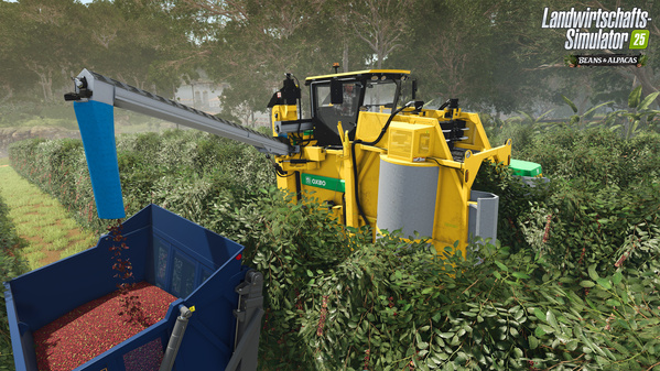 FS25BA_coffeeHarvest_de_6a4e42d1a3944.jpg