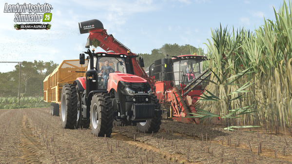FS25BA_sugarcaneHarvest_de_6a4e45c133f42.jpg
