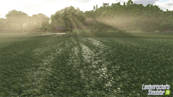 FS25_Crops_Peas-Field-02_de_66e2d443462cd.jpg