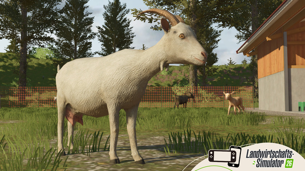 FS26-goats-de_69c5006524292.jpg