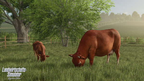 FSSE_release_cows_de_6932d249bfbaa.jpg