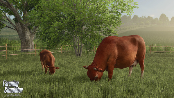 FSSE_release_cows_en_6932d32c1a177.jpg