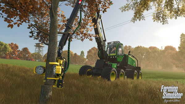 FSSE_release_forestry_en_6932d3593b6ce.jpg