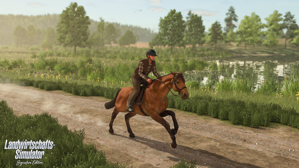 FSSE_release_horse_de_6932d2ae8ea5a.jpg