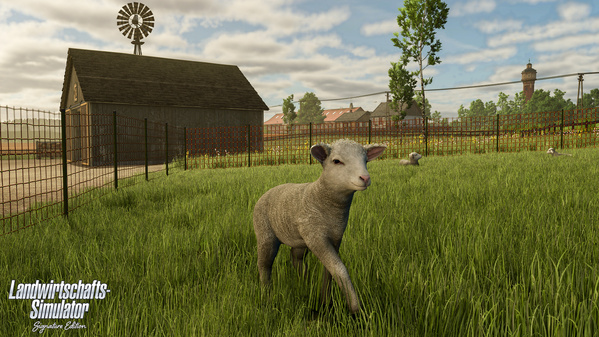 FSSE_release_sheep_de_6932d2d2260a1.jpg