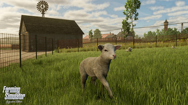 FSSE_release_sheep_en_6932d3a8c7ee6.jpg