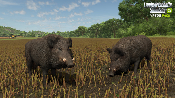 _FS25-Vredo-Release_BoarsCanola_01_de_69ba8e93525e5.jpg