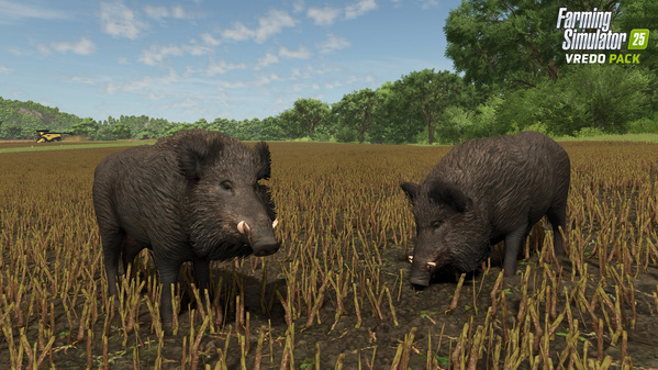 _FS25-Vredo-Release_BoarsCanola_01_en_69ba86c9181ca.jpg